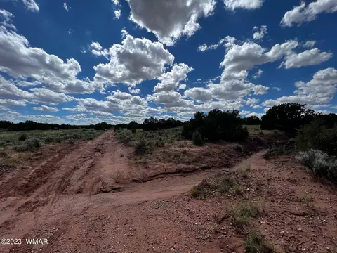 Tbd N9218, Concho, AZ 85924 photo 12