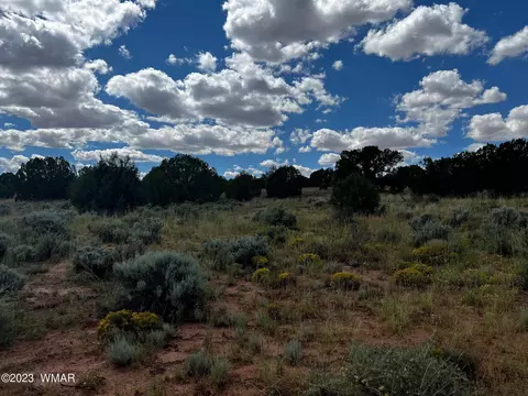 Tbd N9218, Concho, AZ 85924 photo 15