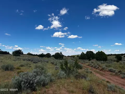 Tbd N9218, Concho, AZ 85924 photo 17