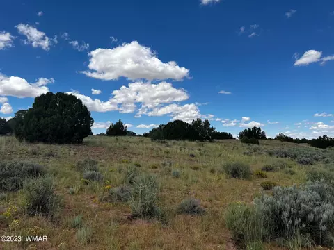 Tbd N9218, Concho, AZ 85924