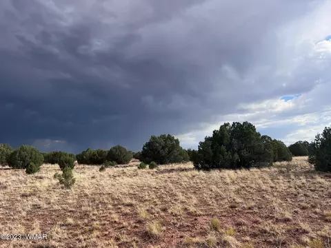 Tbd N9218, Concho, AZ 85924 photo 11