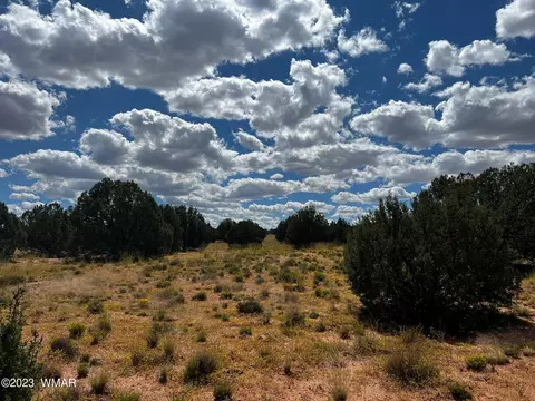 Tbd N9218, Concho, AZ 85924 photo 18