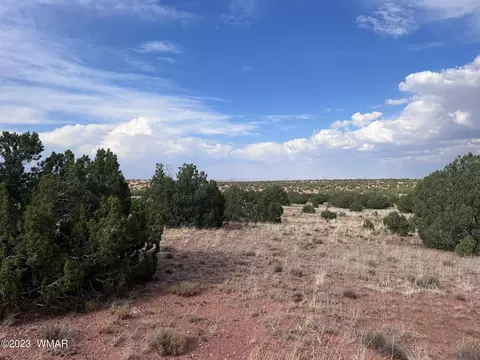 Tbd N9218, Concho, AZ 85924 photo 6