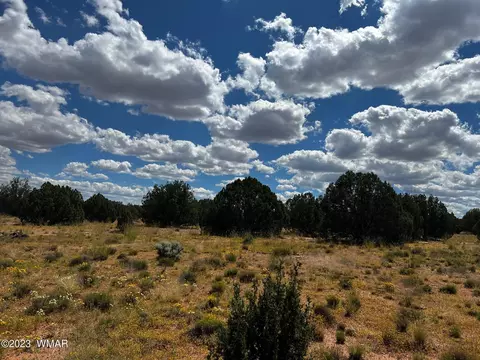 Tbd N9218, Concho, AZ 85924 photo 19