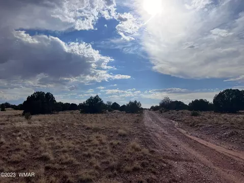 Tbd N9218, Concho, AZ 85924 photo 9