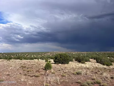 Tbd N9218, Concho, AZ 85924 photo 4