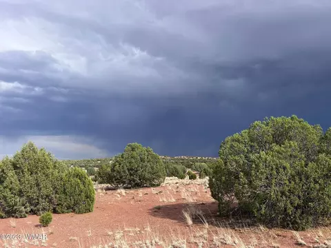 Tbd N9218, Concho, AZ 85924 photo 8