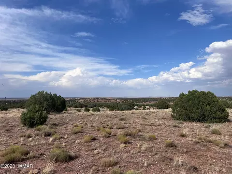 Tbd N9218, Concho, AZ 85924 photo 3
