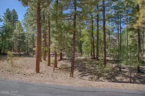 1441 S Jimson Loop, Show Low, AZ 85901 photo 2