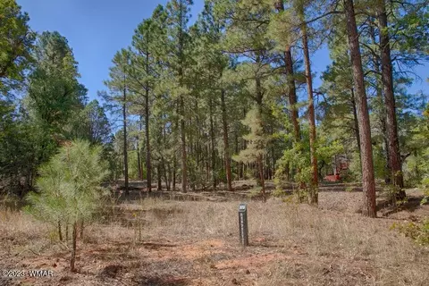 1441 S Jimson Loop, Show Low, AZ 85901