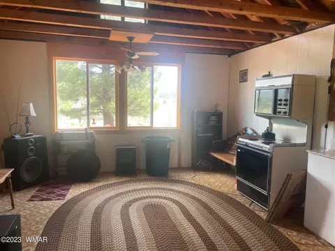 417 County Rd 2104, Alpine, AZ 85920 photo 7