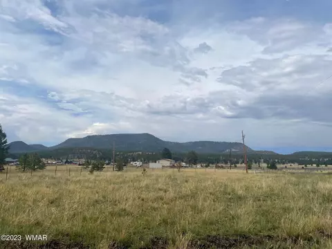 417 County Rd 2104, Alpine, AZ 85920 photo 3