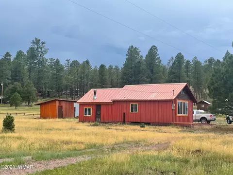417 County Rd 2104, Alpine, AZ 85920