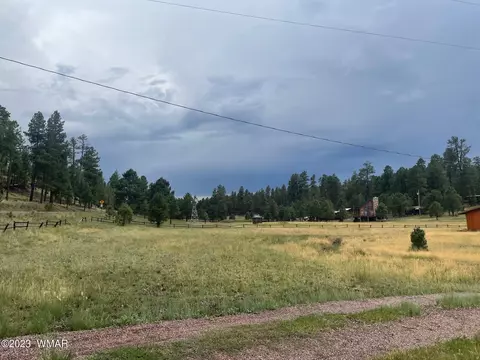 417 County Rd 2104, Alpine, AZ 85920 photo 4