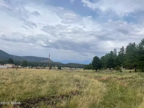 417 County Rd 2104, Alpine, AZ 85920 photo 2