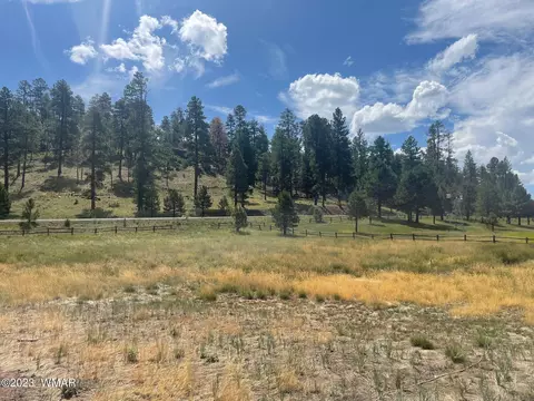 417 County Rd 2104, Alpine, AZ 85920 photo 18