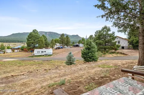 20 County Rd 2140, Alpine, AZ 85920 photo 15
