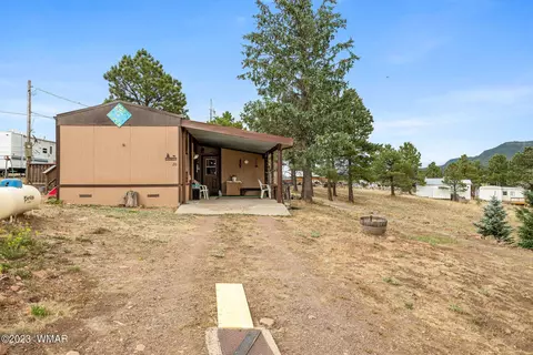 20 County Rd 2140, Alpine, AZ 85920 photo 11