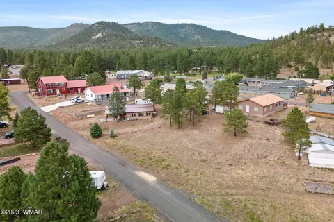 20 County Rd 2140, Alpine, AZ 85920 photo 29