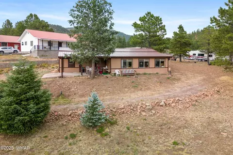 20 County Rd 2140, Alpine, AZ 85920 photo 4