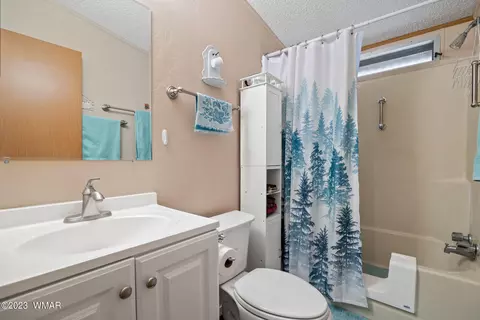 20 County Rd 2140, Alpine, AZ 85920 photo 10