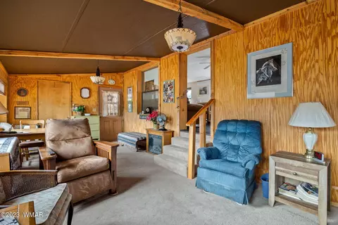 20 County Rd 2140, Alpine, AZ 85920 photo 19