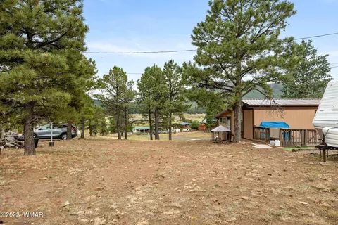 20 County Rd 2140, Alpine, AZ 85920 photo 28