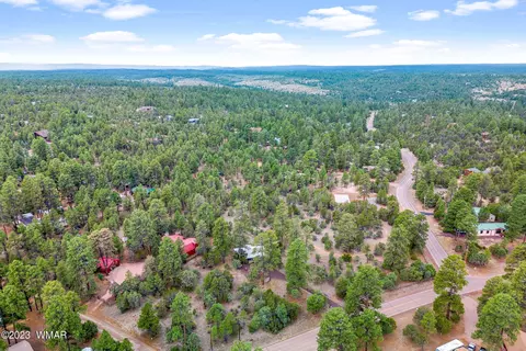 2900 Pine Rim Rd, Overgaard, AZ 85933 photo 22
