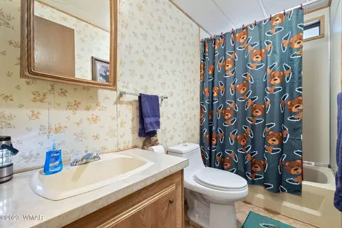 2900 Pine Rim Rd, Overgaard, AZ 85933 photo 16
