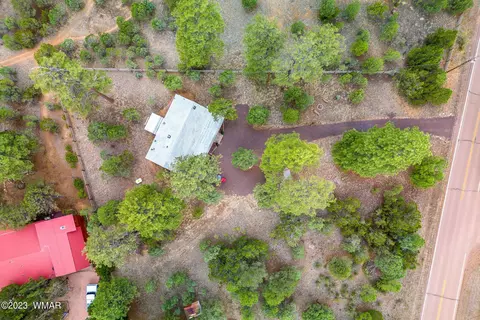 2900 Pine Rim Rd, Overgaard, AZ 85933 photo 21