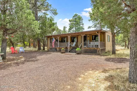 2900 Pine Rim Rd, Overgaard, AZ 85933 photo 2