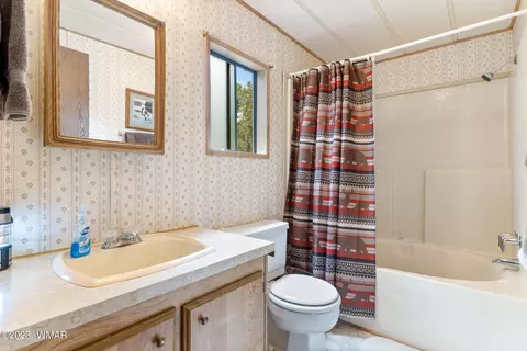 2900 Pine Rim Rd, Overgaard, AZ 85933 photo 18