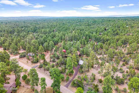 2900 Pine Rim Rd, Overgaard, AZ 85933 photo 26