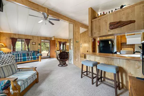 2900 Pine Rim Rd, Overgaard, AZ 85933 photo 7