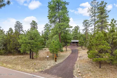 2900 Pine Rim Rd, Overgaard, AZ 85933 photo 24