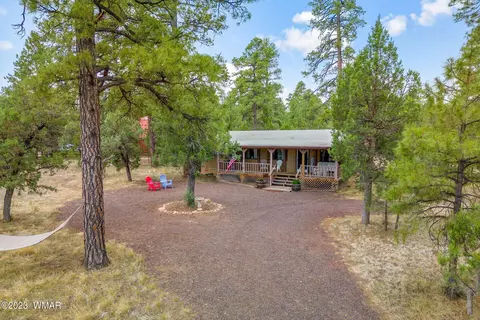 2900 Pine Rim Rd, Overgaard, AZ 85933 photo 3