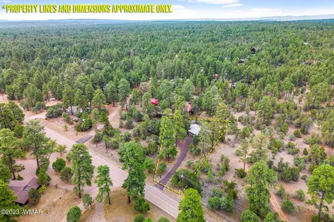 2900 Pine Rim Rd, Overgaard, AZ 85933 photo 25