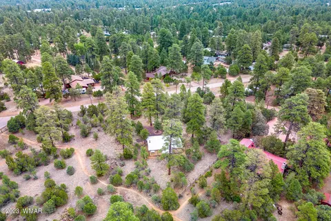 2900 Pine Rim Rd, Overgaard, AZ 85933 photo 23