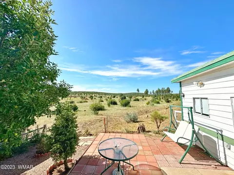 2219 Rodeo Rd, Overgaard, AZ 85933 photo 19