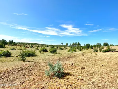 2219 Rodeo Rd, Overgaard, AZ 85933 photo 20