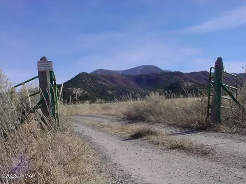 Tbd Highway 180, Nutrioso, AZ 85932