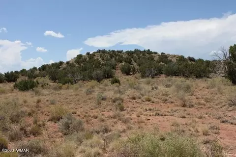 tbd County Road 6040, Saint Johns, AZ 85936