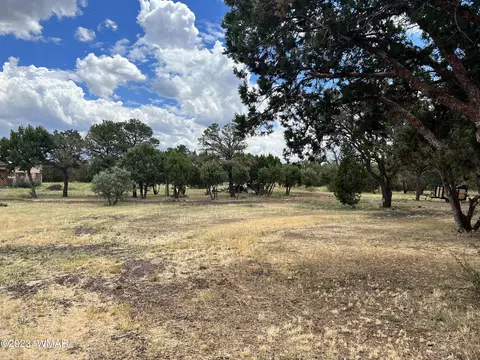 lot009 Road Rd, Vernon, AZ 85940