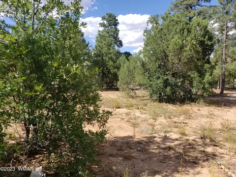 4170 W Sugar Pine Loop, Show Low, AZ 85901 photo 2