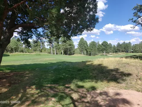 4170 W Sugar Pine Loop, Show Low, AZ 85901