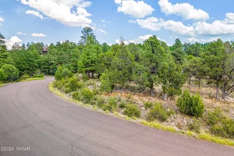 2793 Skyhawk Dr, Overgaard, AZ 85933