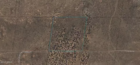 8328 Juniper Berry Trl, Snowflake, AZ 85937