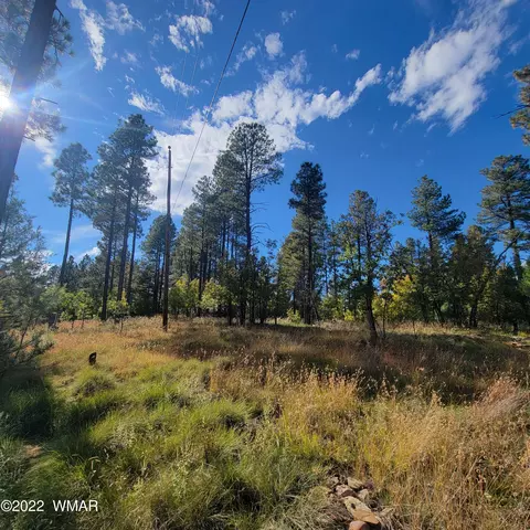 5518 Deer Run, Pinedale, AZ 85934