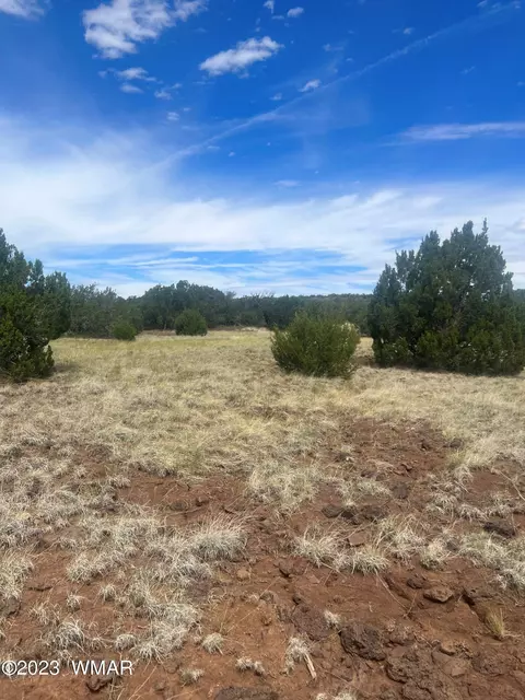 003 Comanche Dr # A, Concho, AZ 85924 photo 4