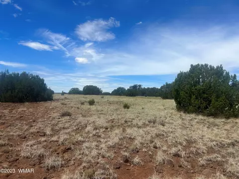003 Comanche Dr # A, Concho, AZ 85924 photo 3